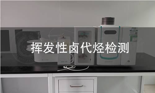 揮發(fā)性鹵代烴檢測(cè)