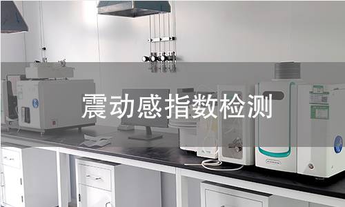 震動感指數(shù)檢測