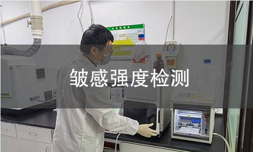 皺感強(qiáng)度檢測(cè)