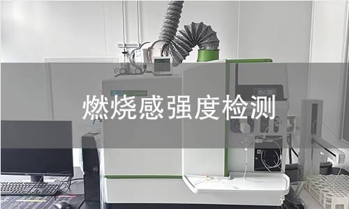 燃燒感強(qiáng)度檢測(cè)