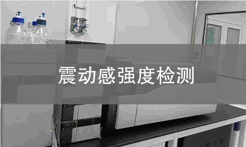 震動感強度檢測