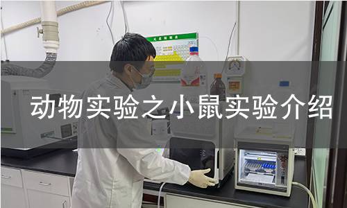 動(dòng)物實(shí)驗(yàn)之小鼠實(shí)驗(yàn)介紹