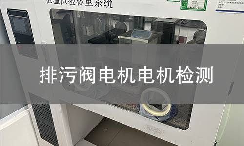 排污閥電機(jī)電機(jī)檢測(cè)