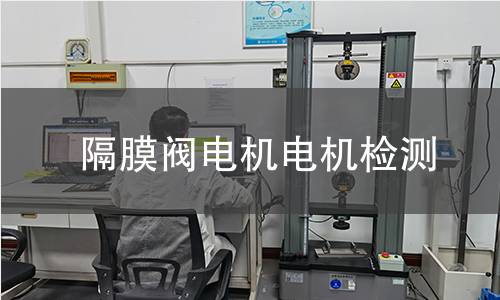 隔膜閥電機(jī)檢測(cè)