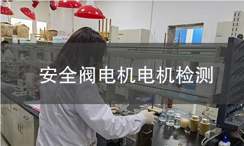 安全閥電機(jī)檢測(cè)