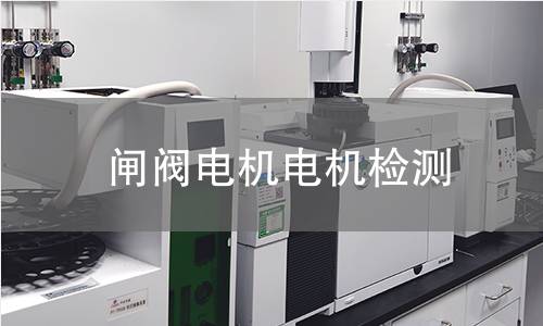 閘閥電機(jī)檢測(cè)