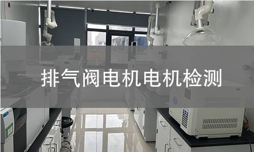 排氣閥電機(jī)電機(jī)檢測(cè)