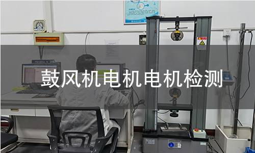 鼓風(fēng)機(jī)電機(jī)檢測